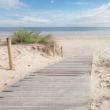Piers and Boardwalk