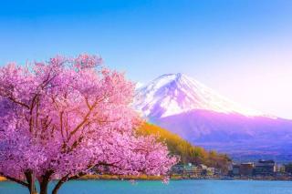 Japan