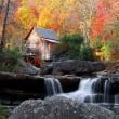 Fall