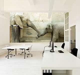 Offices