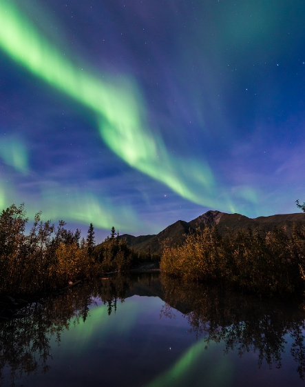 Auroras