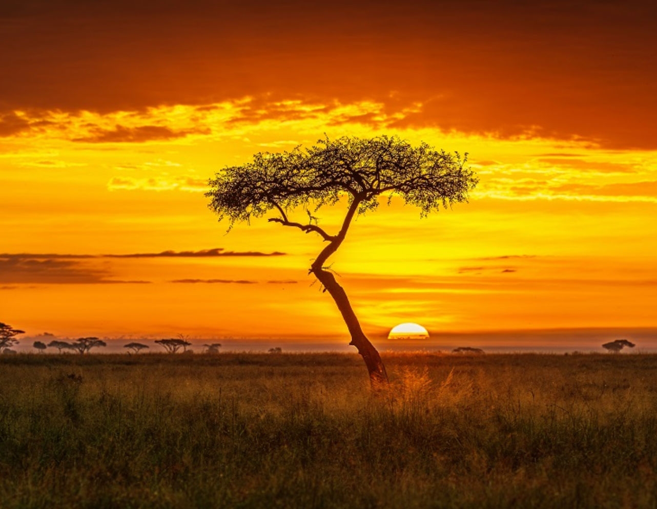 Africa
