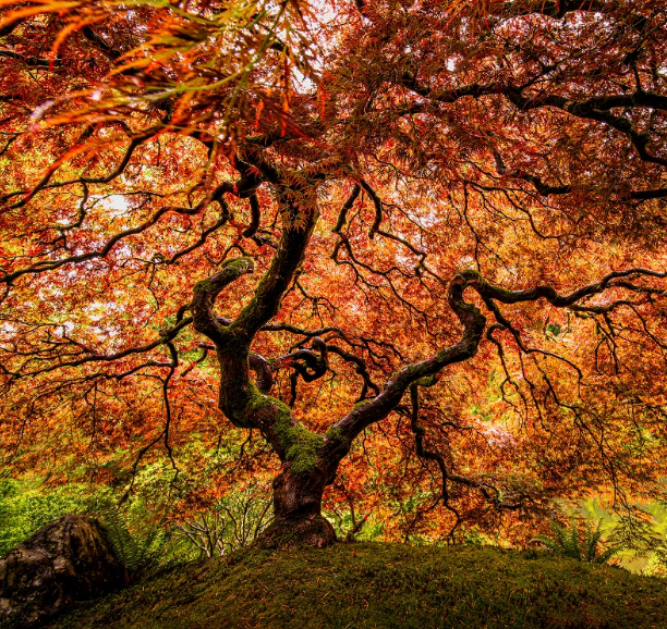 Fall